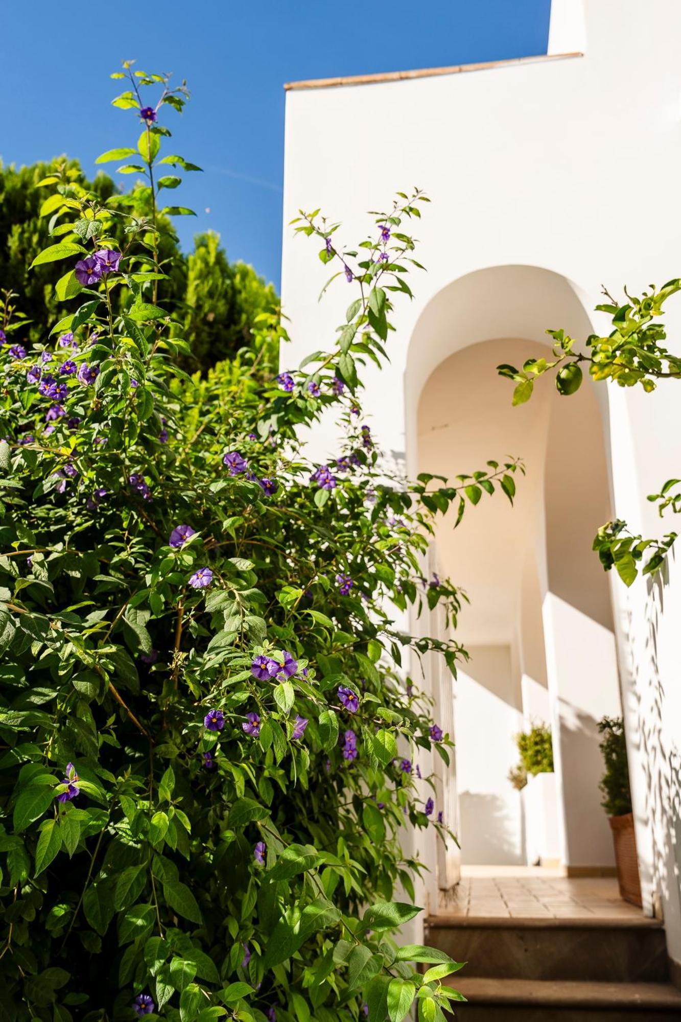 Hotel Senaria Anacapri  Exterior foto